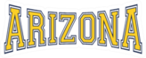 Arizona College Typography Sticker