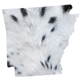 Arkansas State Map Cool Pattern Sticker