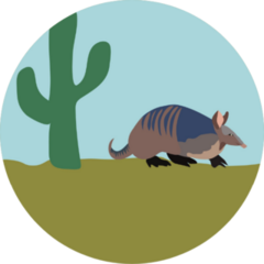 Armadillo Digital Illustration Drawing Vintage Sticker