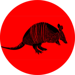 Armadillo Illustration On Red Sticker