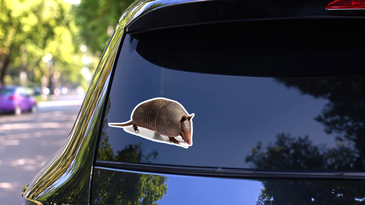 Armadillo Of Six Bands Sticker on a Rear Car Window (New) example