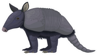 Armadillos (Litter Armored One) Sticker