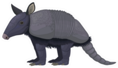 Armadillos (Litter Armored One) Sticker