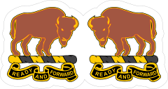 Army 10Th Cavalry Regiment Distinctive Unit Insignia Sticker