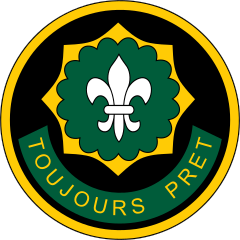 Army 2Nd Cavalry Regement Shoulder Sleeve Insignia Sticker