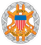 Army Chiefs Staff Sticker
