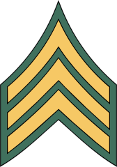 Army Rank E-5 Sergeant Sticker