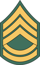Army Rank E-7 Sergeant First Class Sticker