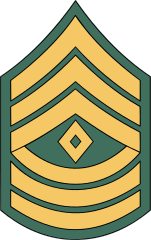 Army Rank E-8 First Sergeant  Sticker
