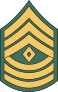 Army Rank E-8 First Sergeant  Sticker
