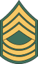 Army Rank E-8 Master Segreant Sticker