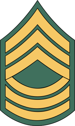 Army Rank E-8 Master Segreant Sticker