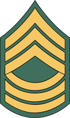 Army Rank E-8 Master Segreant Sticker