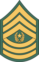 Army Rank E-9 Command Sergeant Major Sticker