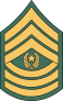 Army Rank E-9 Command Sergeant Major Sticker