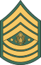 Army Rank E-9 Sergeant Major Of The Army  Sticker