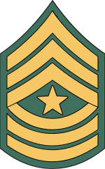 Army Rank E-9 Sergeant Major Sticker