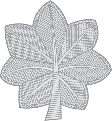 Army Rank O-5 Lieutenant Colonel Sticker