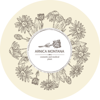 Arnica Flower And Montana Sticker