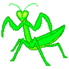 Art Of Praying Mantis Sticker