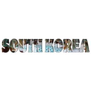 Art Text South Korea Sticker