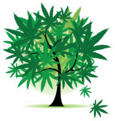 Art Tree Fantasy, Cannabis Leaf Sticker