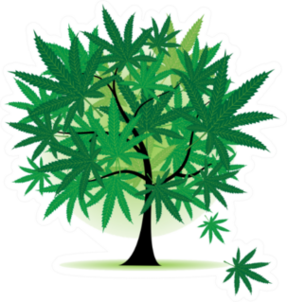 Art Tree Fantasy, Cannabis Leaf Sticker