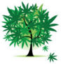 Art Tree Fantasy, Cannabis Leaf Sticker