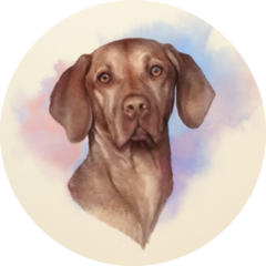 Artistic Vizsla Sticker