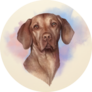 Artistic Vizsla Sticker