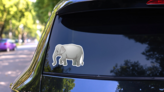 Asian Elephant Sticker on a Rear Car Window (New) example