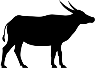 Asiatic Buffalo Silhouette Sticker