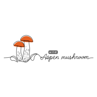 Aspen Wild Mushroom Simple Line Illustration Sticker