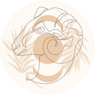 Astrological Aries Zodiac Sign Boho Style Sticker