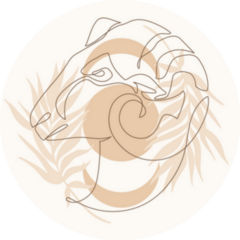 Astrological Aries Zodiac Sign Boho Style Sticker