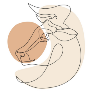 Astrological Taurus Zodiac Sign One Line Drawing Sticker