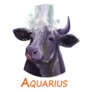 Astrology Lunar Calendar Aquarius Sticker