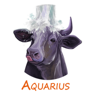 Astrology Lunar Calendar Aquarius Sticker