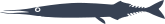 Atlantic Saury Fish Sticker