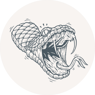 Attacking Snake Illustration Tattoo Style Drawing Sticker
