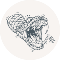 Attacking Snake Illustration Tattoo Style Drawing Sticker