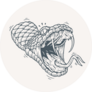 Attacking Snake Illustration Tattoo Style Drawing Sticker