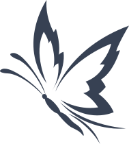 Attractive Butterfly Flying Sticker