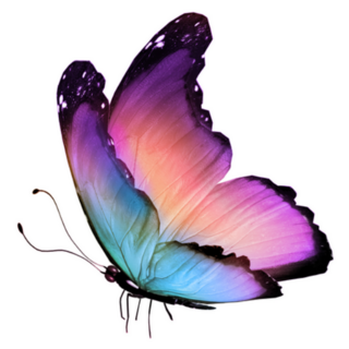 Aurora Borealis Inspired Butterfly Sticker