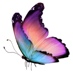 Aurora Borealis Inspired Butterfly Sticker
