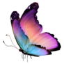 Aurora Borealis Inspired Butterfly Sticker