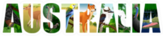 Australia Word With Animals In Letters Kangaroo Sticker