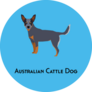 Australian Cattle Dog Sticker