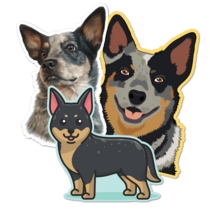 Australian Cattle Dog Thumbnail