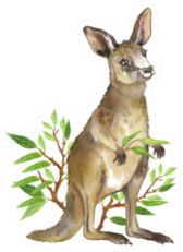 Australian Kangaroo And Vegetation Watercolor Illustration Sticker